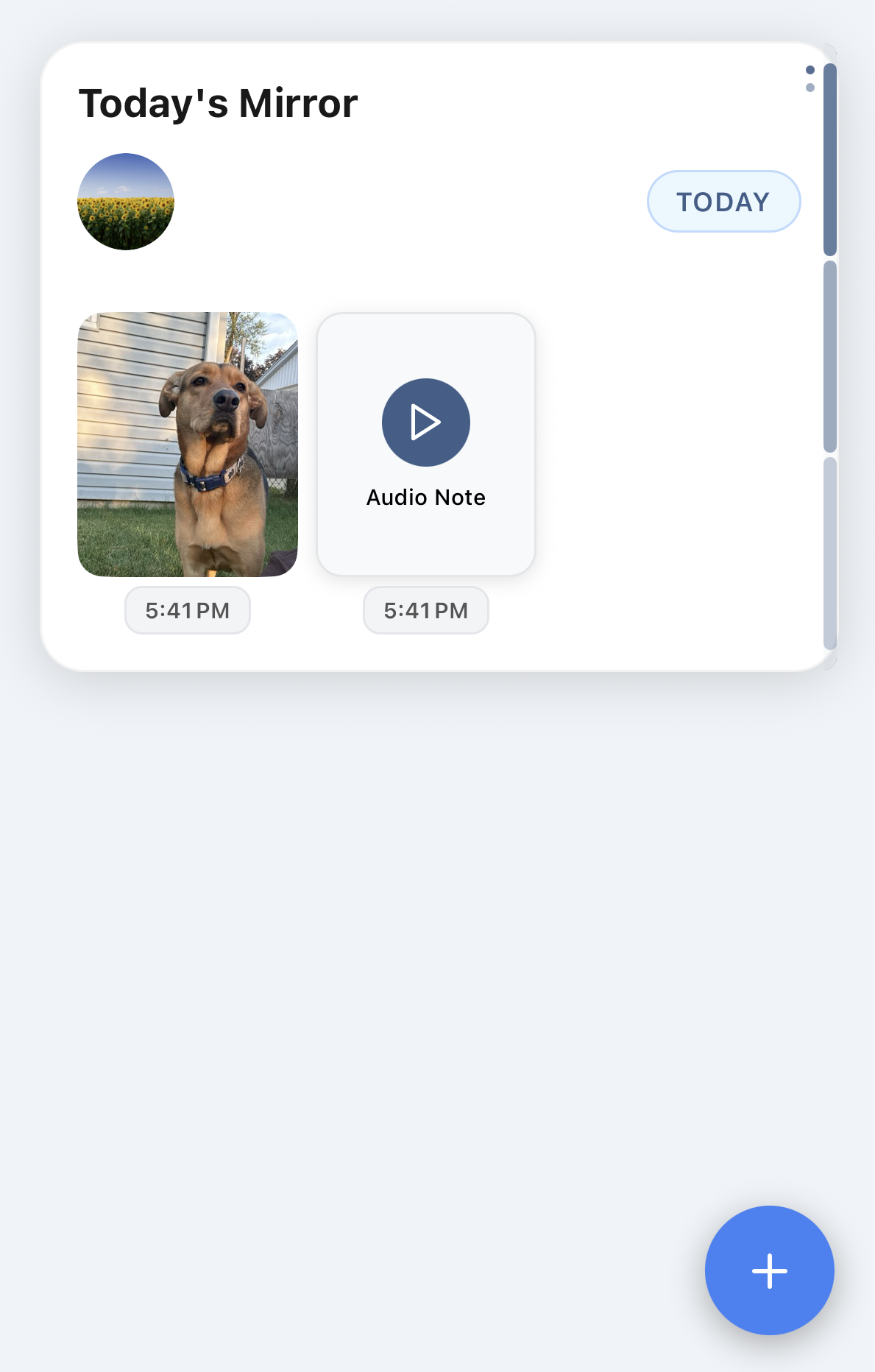 Mirror Image Feature